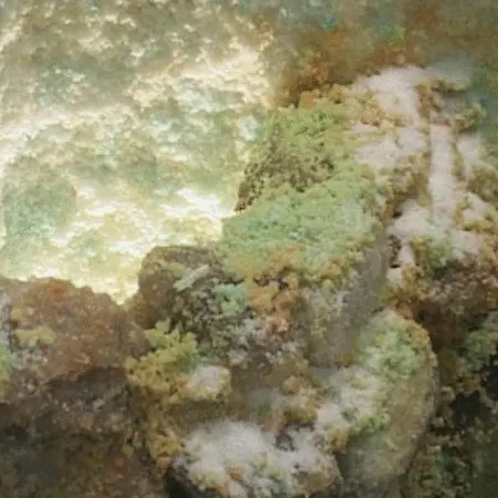 Guest house Mitic Luxx Centar