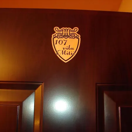 Guest house Mitic Luxx Centar 4*
