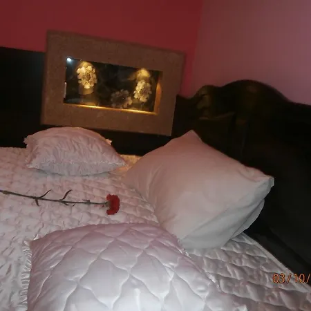 Mitic Luxx Centar 4*