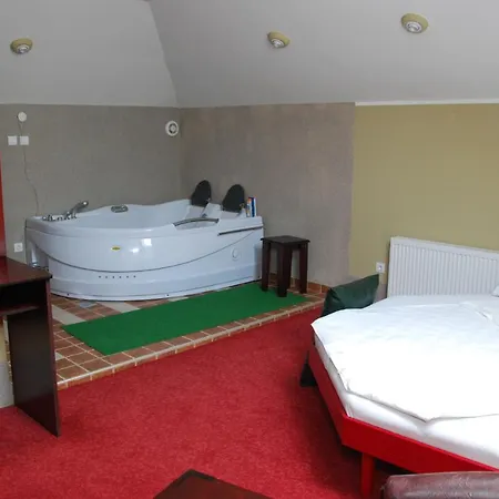 Mitic Luxx Centar Guest house Leskovac (Jablanica)